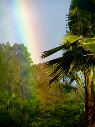 Send your best photos from Maui County to mauiphotos@mauinews.com for a chance to see them featured on our website and in our weekly print edition.